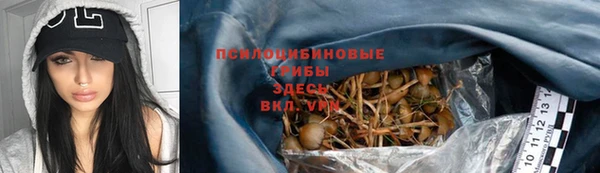 дмт Алексеевка