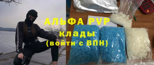 spice Алзамай